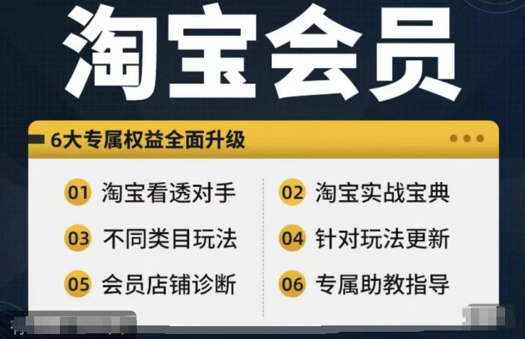淘宝会员【淘宝所有课程，全面分析对手】，初级到高手全系实战宝典-天韵资源网