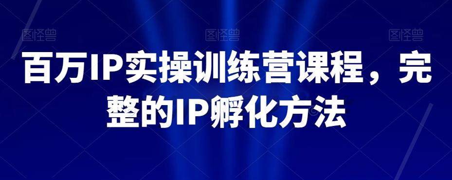 百万IP实操训练营课程，完整的IP孵化方法-天韵资源网