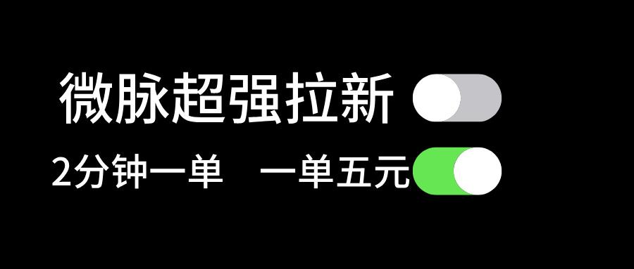 微脉超强拉新， 两分钟1单， 一单利润5块，适合小白-天韵资源网