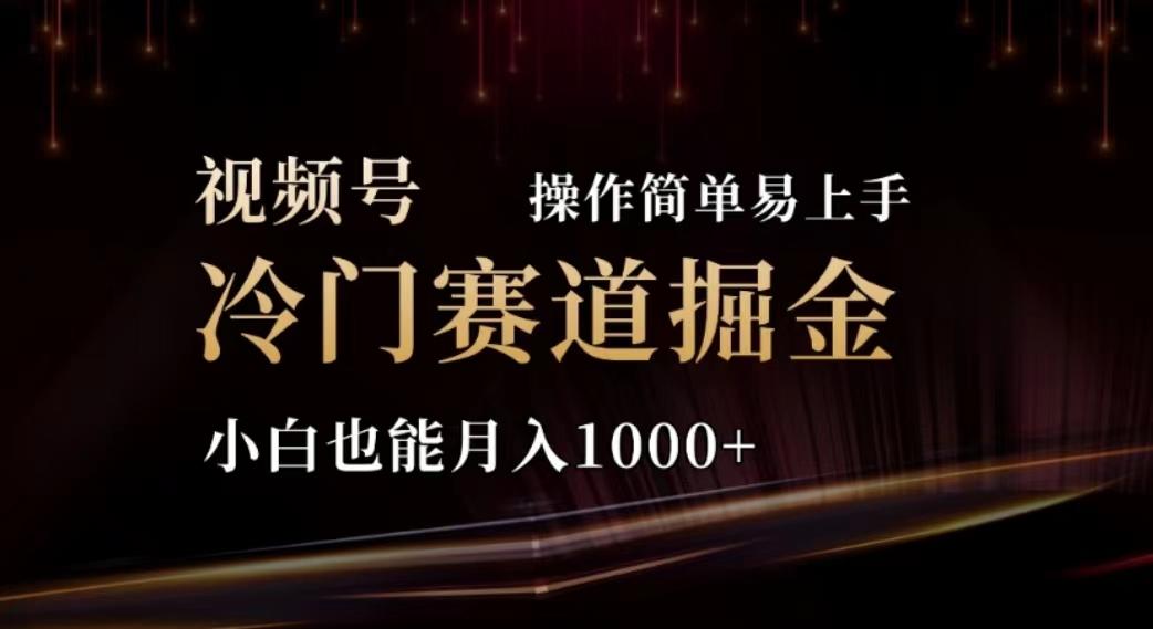 2024视频号冷门赛道掘金，操作简单轻松上手，小白也能月入1000+-天韵资源网