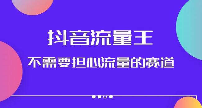 抖音流量王，不需要担心流量的赛道，美女图文音乐号升级玩法（附实操+养号流程）-天韵资源网