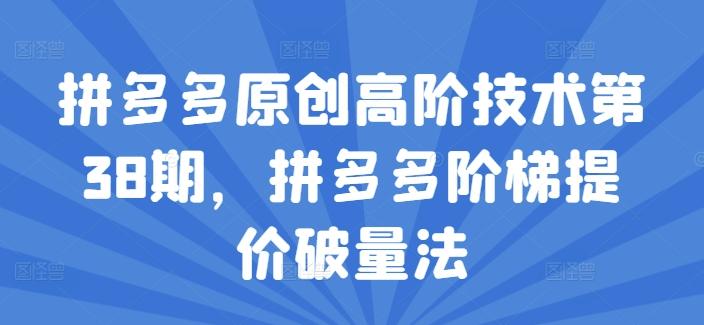 拼多多原创高阶技术第38期，拼多多阶梯提价破量法-天韵资源网