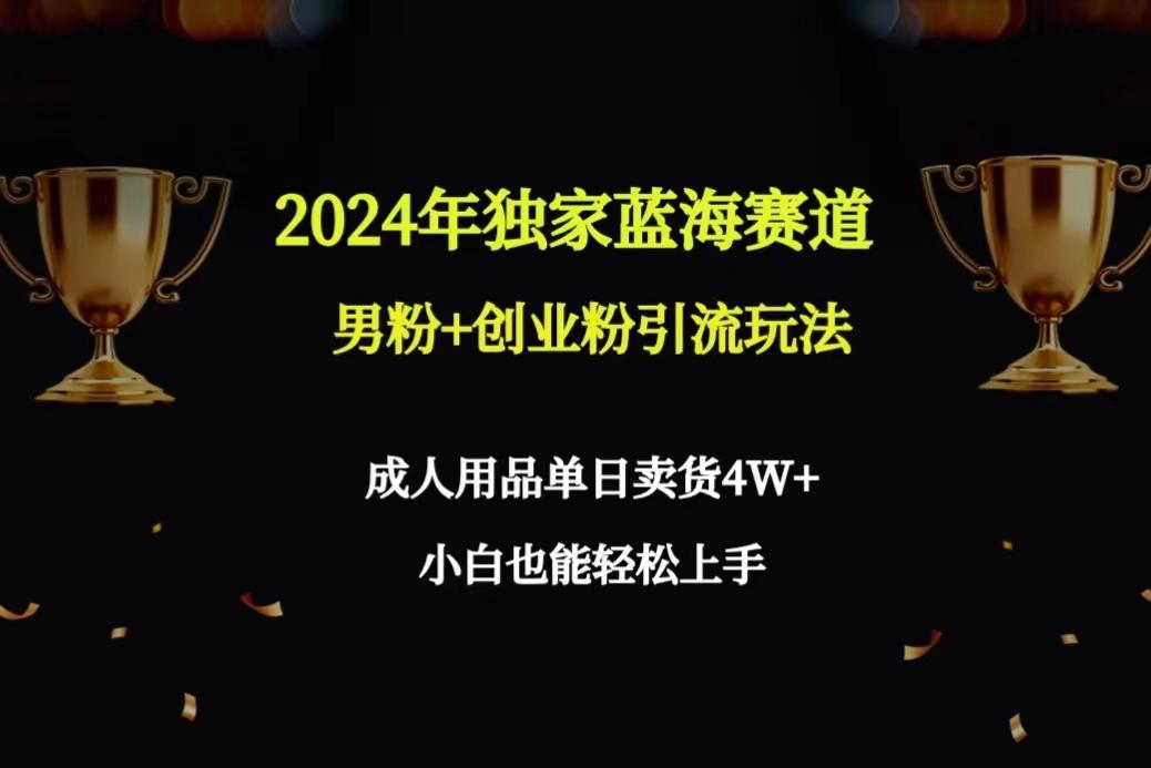 2024年独家蓝海赛道男粉+创业粉引流玩法，成人用品单日卖货4W+保姆教程-天韵资源网