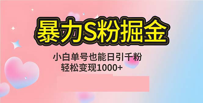 单人单机日引千粉，变现1000+，S粉流量掘金计划攻略-天韵资源网