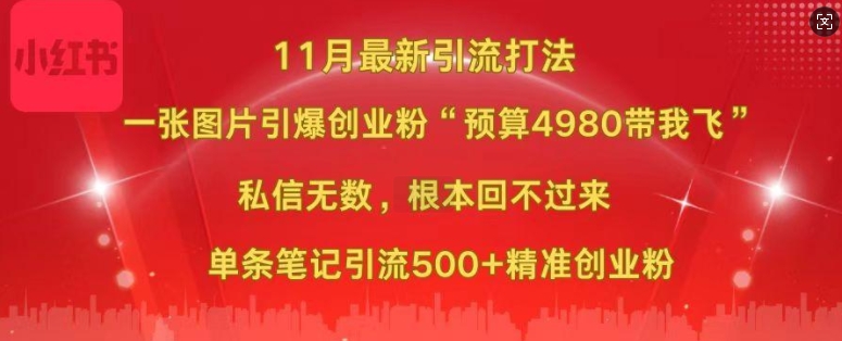 小红书11月最新图片打粉，一张图片引爆创业粉，“预算4980带我飞”，单条引流500+精准创业粉-天韵资源网