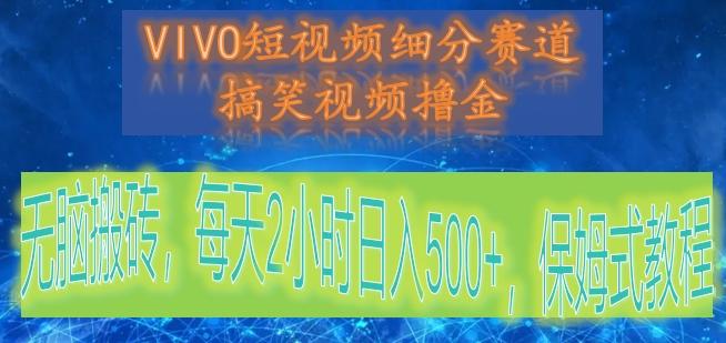 VIVO短视频细分赛道，搞笑视频撸金，无脑搬砖，每天2小时日入500+，保姆式教程-天韵资源网