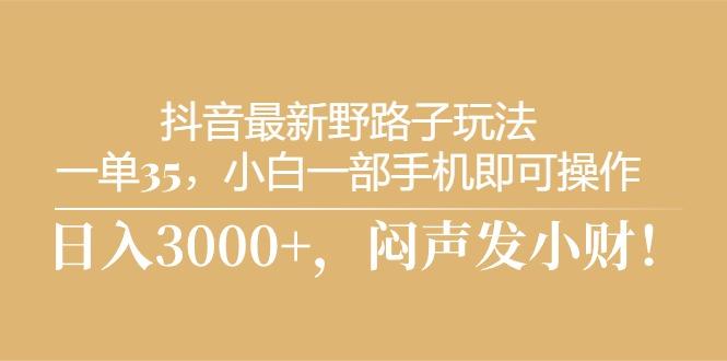 抖音最新野路子玩法，一单35，小白一部手机即可操作，，日入3000+，闷…-天韵资源网