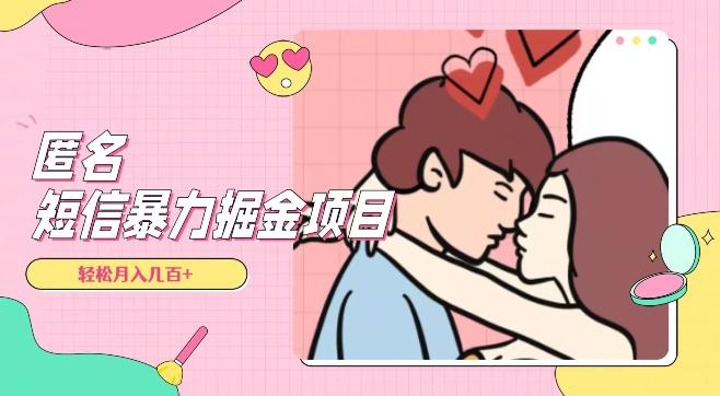 全网首发，揭秘超冷门匿名短信项目，通过信息差日入几百+【揭秘】-天韵资源网