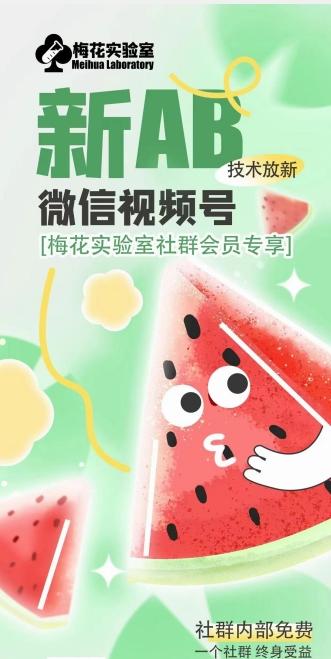 梅花实验室2024年AB技术视频号AB合成破解版-天韵资源网