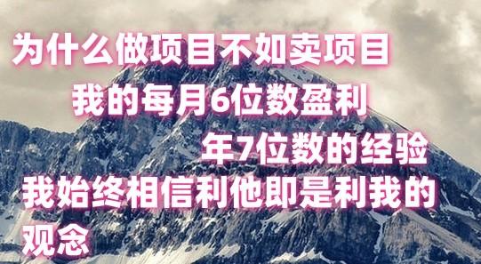 做项目不如卖项目，每月6位数盈利，年7位数经验-天韵资源网