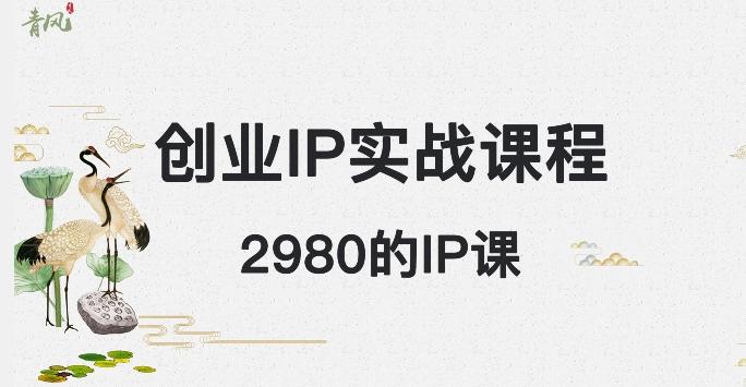 外边卖2980的创业IP课程，做私域月入5w+-天韵资源网