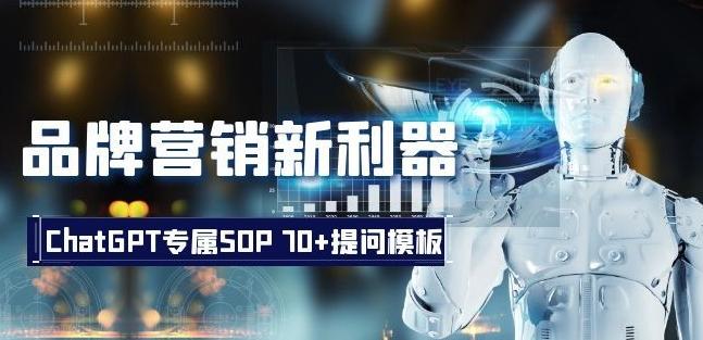 品牌营销新利器：ChatGPT专属SOP，70+提问模板【文档】-天韵资源网