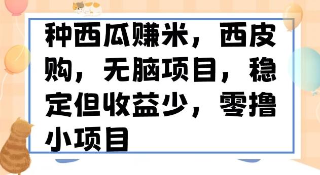 种西瓜赚米，西皮购稳定长久零撸小项目-天韵资源网