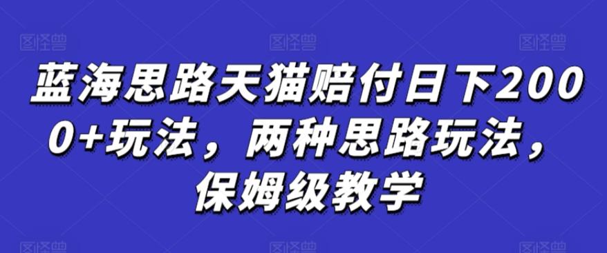蓝海思路天猫赔付日下2000+玩法，两种思路玩法，保姆级教学【仅揭秘】-天韵资源网
