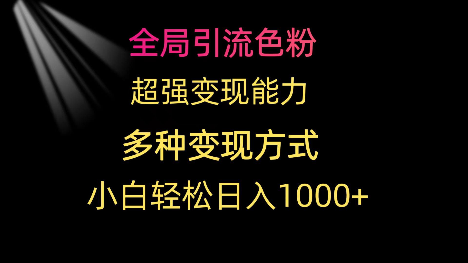 (9680期)全局引流色粉 超强变现能力 多种变现方式 小白轻松日入1000+-天韵资源网