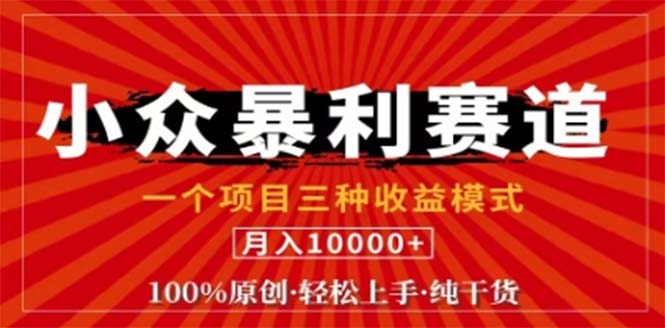 视频号最新爆火赛道，三种可收益模式，0粉新号条条原创条条热门 日入1000+-天韵资源网