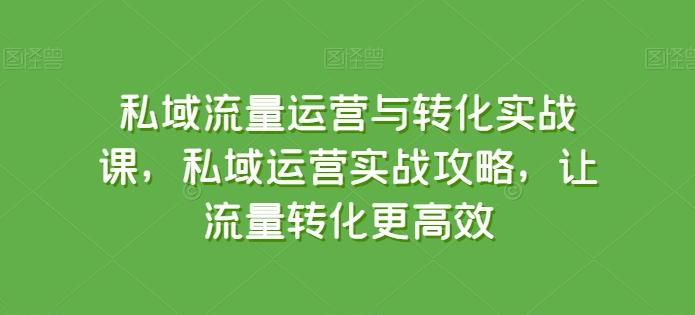 私域流量运营与转化实战课，私域运营实战攻略，让流量转化更高效-天韵资源网