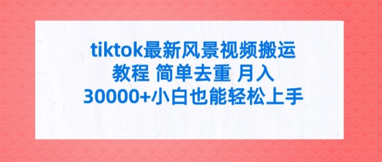 tiktok最新风景视频搬运教程 简单去重 月入3W+小白也能轻松上手【揭秘】-天韵资源网