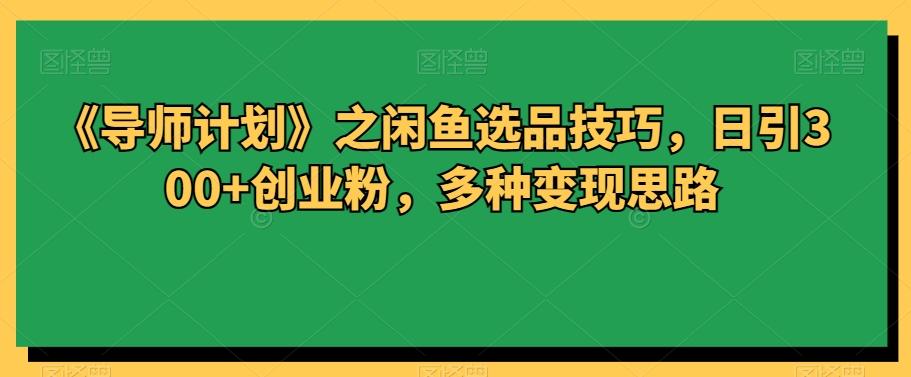 《导师计划》之闲鱼选品技巧，日引300+创业粉，多种变现思路-天韵资源网