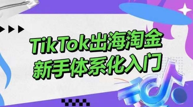 TikTok出海淘金，新手体系化入门，零基础快速入门，掌握短视频、直播带货等引流到变现的知识-天韵资源网
