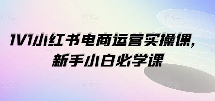 1V1小红书电商运营实操课，新手小白必学课-天韵资源网