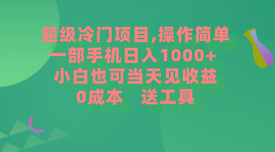 (9291期)超级冷门项目,操作简单，一部手机轻松日入1000+，小白也可当天看见收益-天韵资源网