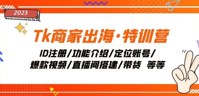 Tk商家出海·特训营：ID注册/功能介绍/定位账号/爆款视频/直播间搭建/带货-天韵资源网