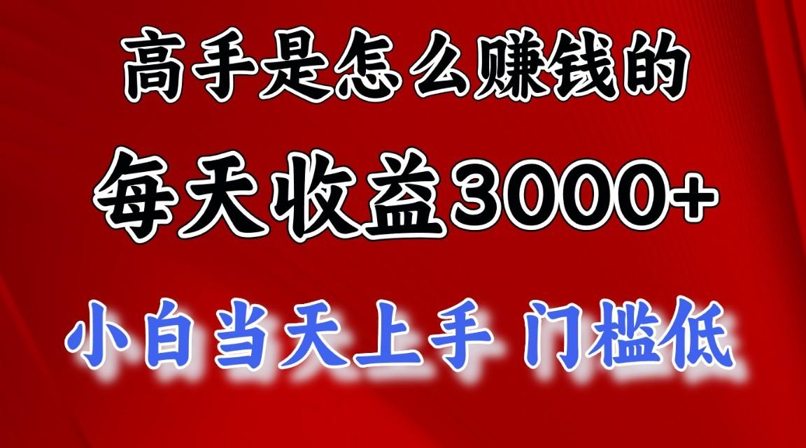 高手是怎么一天赚3000+的，小白当天上手，翻身项目，非常稳定。-天韵资源网