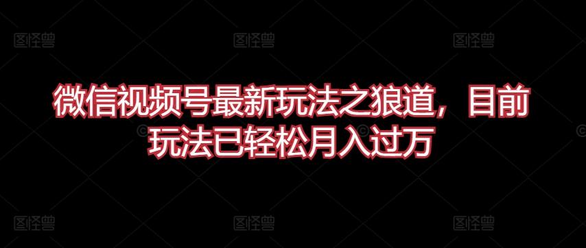 微信视频号最新玩法之狼道，目前玩法已轻松月入过万【揭秘】-天韵资源网