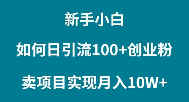 (9556期)新手小白如何通过卖项目实现月入10W+-天韵资源网