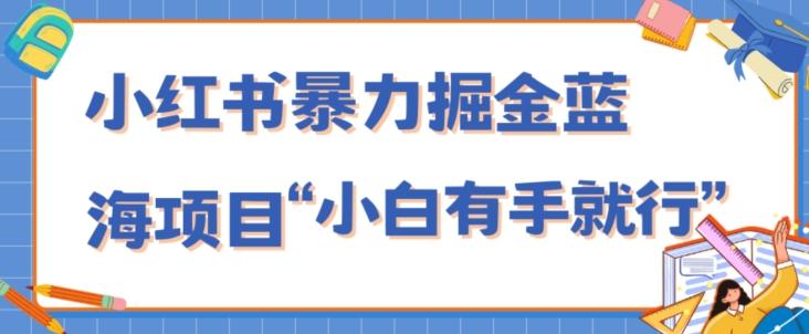 小红书暴力掘金蓝海项目，轻松日入1000+、小白有手就行（附新引流方法，不违规）-天韵资源网