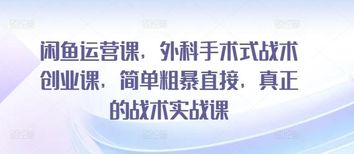 闲鱼运营课，外科手术式战术创业课，简单粗暴直接，真正的战术实战课-天韵资源网
