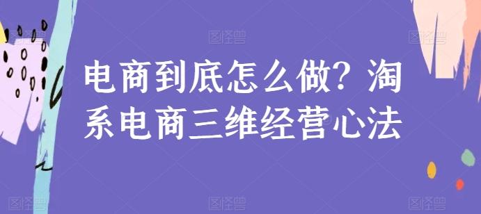 电商到底怎么做？淘系电商三维经营心法-天韵资源网