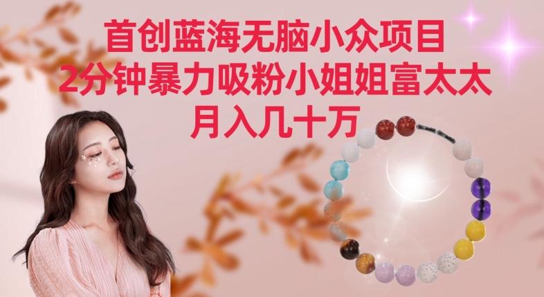 首创蓝海无脑小众项目，2分钟暴力吸粉小姐姐富太太，月入几十万【揭秘】-天韵资源网