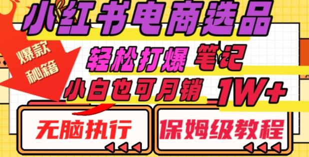 小红书电商爆款选品秘籍，帮你轻松打爆笔记，小白也可轻松月销10000+-天韵资源网