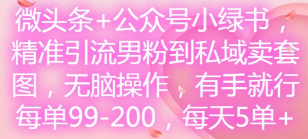 微头条+公众号小绿书，精准引流男粉到私域卖套图，无脑操作，有手就行，每单99-200，每天5单-天韵资源网