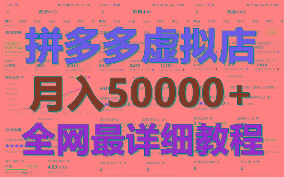 拼多多虚拟电商训练营月入50000+你也行，暴利稳定长久，副业首选-天韵资源网