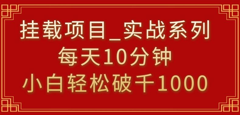 挂载项目，小白轻松破1000，每天10分钟，实战系列保姆级教程【揭秘】-天韵资源网