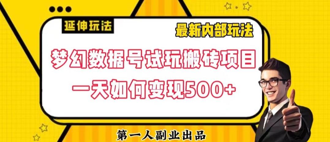 数据号回归玩法游戏试玩搬砖项目再创日入500+【揭秘】-天韵资源网