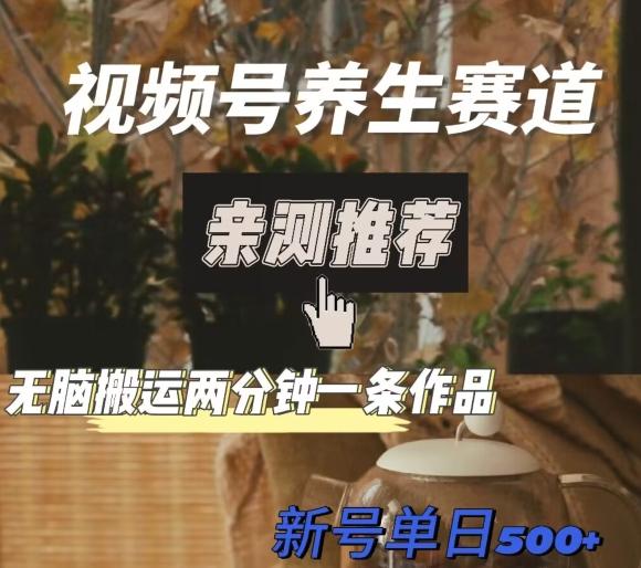 视频号养生赛道暴力掘金，无脑搬运，两分钟一条作品-新日单入500+-天韵资源网