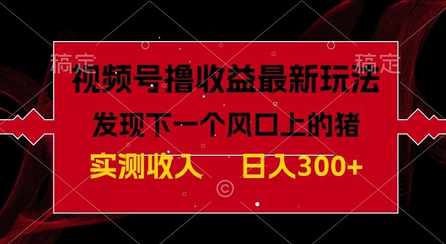 视频号分成计划最新玩法，单条作品几分钟制作完成,日入300+，过年前最后的冲刺-天韵资源网