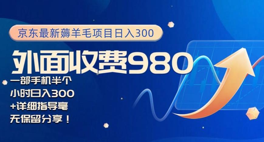 京东最新薅羊毛项目小白怎么做到日入300+一部手机半小时搞定-天韵资源网
