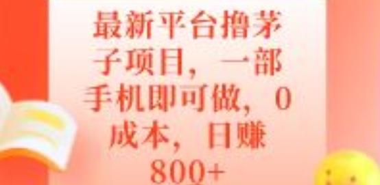 最新平台撸茅子项目，一部手机即可做，0成本，日赚800+-天韵资源网