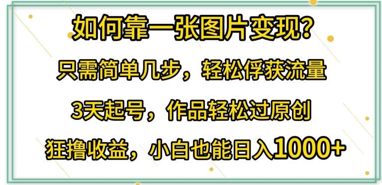 如何靠一张图片变现?只需简单几步，轻松俘获流量，3天起号，作品轻松过原创【揭秘】-天韵资源网