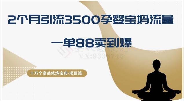 十万个富翁修炼宝典之13.2个月引流3500孕婴宝妈流量，一单88卖到爆-天韵资源网