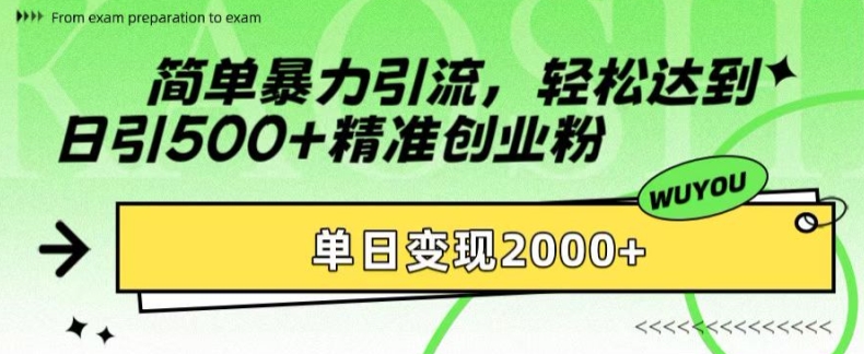 简单暴力引流，轻松达到日引500+精准创业粉，单日变现2k【揭秘】-天韵资源网