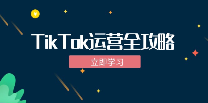 TikTok实战运营全攻略：从下载软件到变现，抖音海外版实操教程-天韵资源网