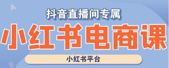小红书电商高级运营课程，实操教学+案例分析-天韵资源网