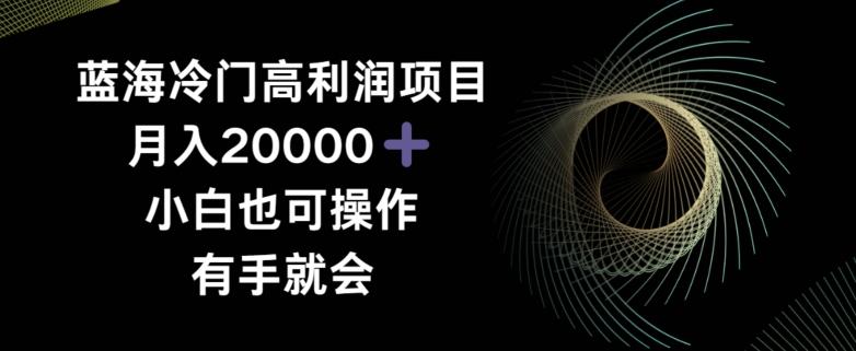 蓝海冷门高利润项目月入2000，小白也可操作有手就会-天韵资源网