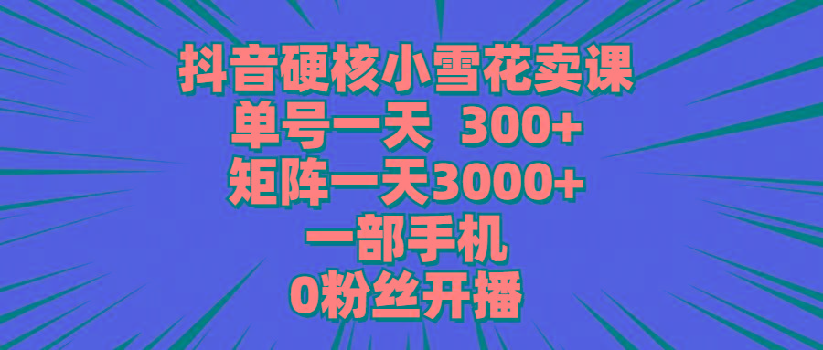 (9551期)抖音硬核小雪花卖课，单号一天300+，矩阵一天3000+，一部手机0粉丝开播-天韵资源网